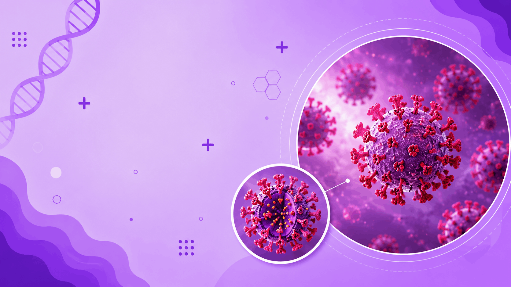 Corona viruses Banner